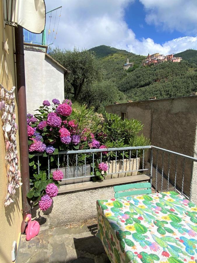 Le Case Della Lizza - Casa Blu Levanto Luaran gambar