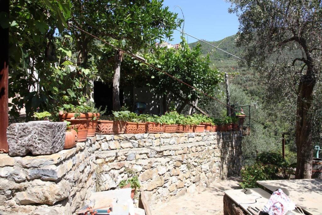Le Case Della Lizza - Casa Blu Levanto Luaran gambar